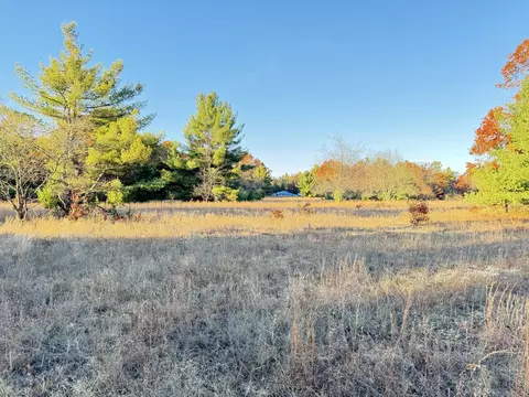 10 01ac Barberry Ave, Newaygo, MI 49337 photo 2