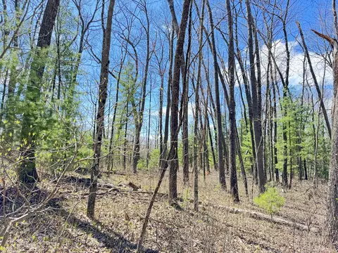 0 W Franklin St, Bitely, MI 49309