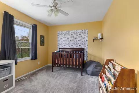 202 Bricker St, Belding, MI 48809 photo 12