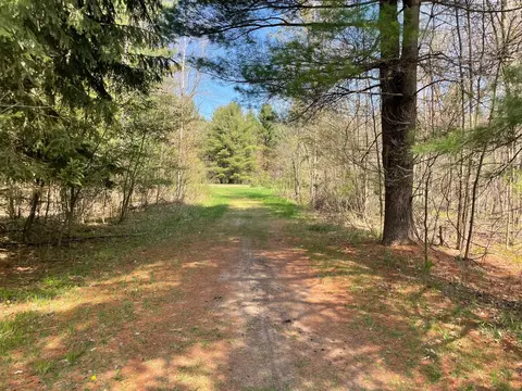 V/l N Benson Road, Fountain, MI 49410