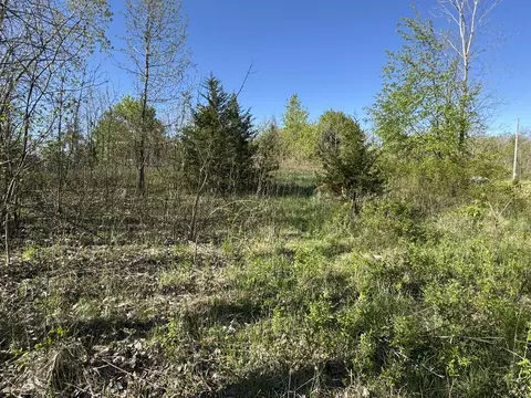 lot C Stoney Ln, Eaton Rapids, MI 48827