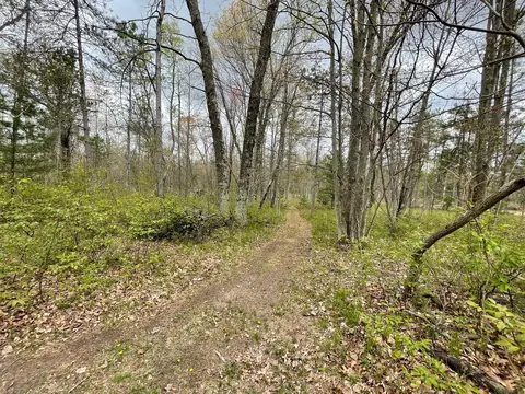 V/l Caberfae Highway, Wellston, MI 49689