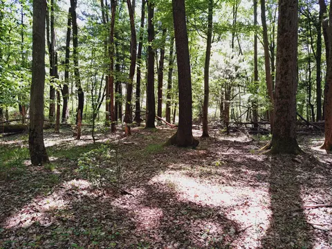 e brandywine drive, Gobles, MI 49055