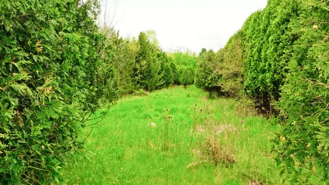 0 Hartel Rd, Potterville, MI 48876