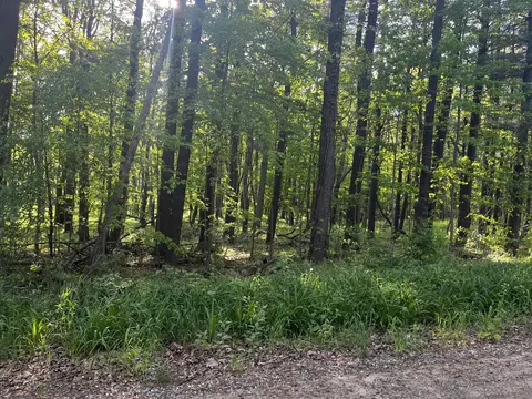 Parcel A Ivan Road, Saranac, MI 48881 photo 5