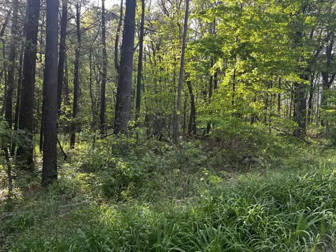 Parcel A Ivan Road, Saranac, MI 48881