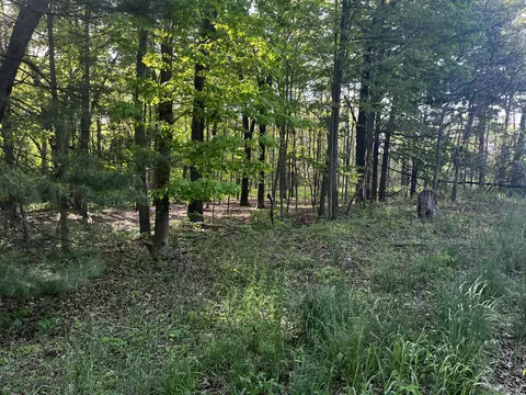 Parcel A Ivan Road, Saranac, MI 48881 photo 6