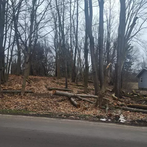 Burt Ave, Jackson, MI 49201 photo 3