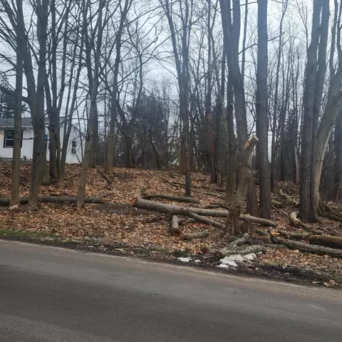 Burt Ave, Jackson, MI 49201 photo 2