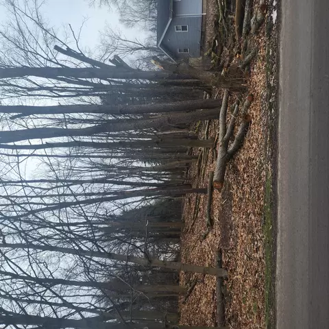 Burt Ave, Jackson, MI 49201