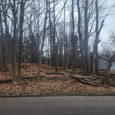 Burt Ave, Jackson, MI 49201 photo 5