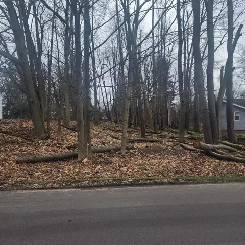 Burt Ave, Jackson, MI 49201 photo 4