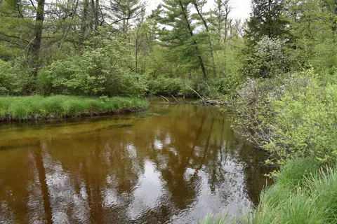 00 S Ever Blooming Dr, Baldwin, MI 49304
