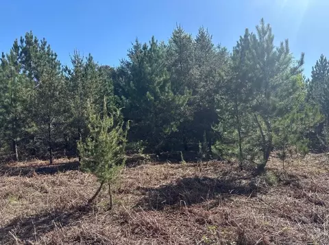 Parcel A Spruce, White Cloud, MI 49349 photo 3