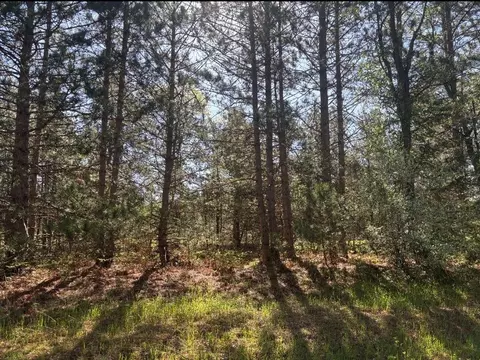 Parcel A Spruce, White Cloud, MI 49349 photo 2
