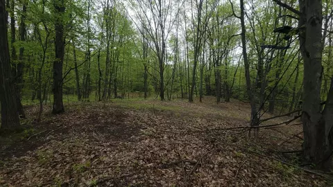0000 Cassiday Rd, Gladwin, MI 48624 photo 10
