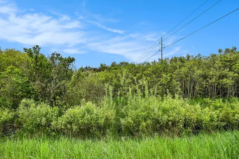 Reek Rd - 29.77 Acres V/l, Custer, MI 49405 photo 12