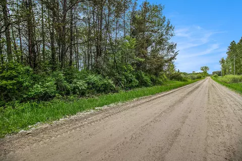 Reek Rd - 29.77 Acres V/l, Custer, MI 49405 photo 2
