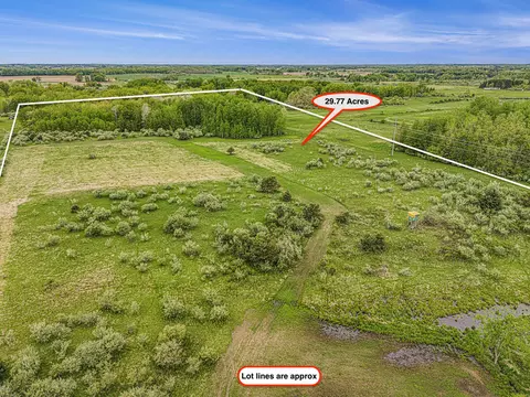 Reek Rd - 29.77 Acres V/l, Custer, MI 49405 photo 20
