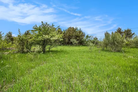 Reek Rd - 29.77 Acres V/l, Custer, MI 49405 photo 8