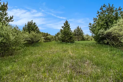 Reek Rd - 29.77 Acres V/l, Custer, MI 49405 photo 14