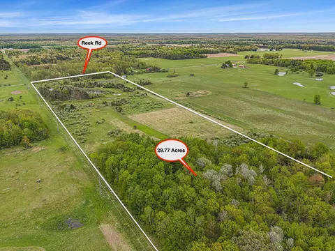 Reek Rd - 29.77 Acres V/l, Custer, MI 49405 photo 10
