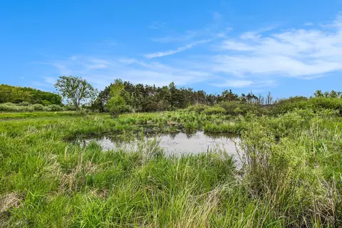 Reek Rd - 29.77 Acres V/l, Custer, MI 49405 photo 18
