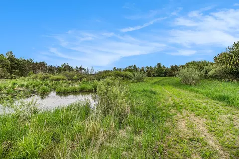 Reek Rd - 29.77 Acres V/l, Custer, MI 49405 photo 17
