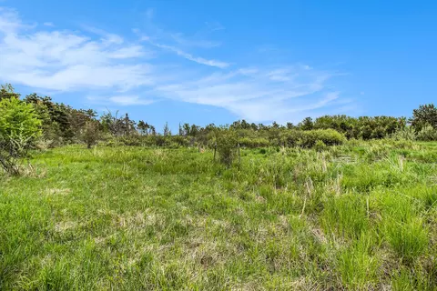 Reek Rd - 29.77 Acres V/l, Custer, MI 49405 photo 13