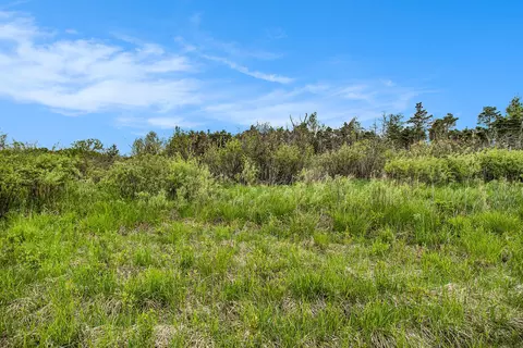 Reek Rd - 29.77 Acres V/l, Custer, MI 49405 photo 15