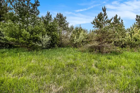 Reek Rd - 29.77 Acres V/l, Custer, MI 49405 photo 11