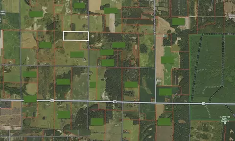 Reek Rd - 29.77 Acres V/l, Custer, MI 49405 photo 3