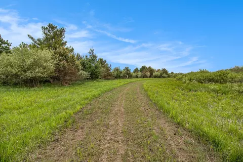 Reek Rd - 29.77 Acres V/l, Custer, MI 49405 photo 5