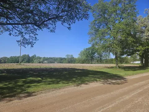 Jones Road, Bellevue, MI 49021