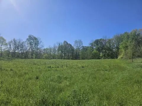 Jones Road, Bellevue, MI 49021