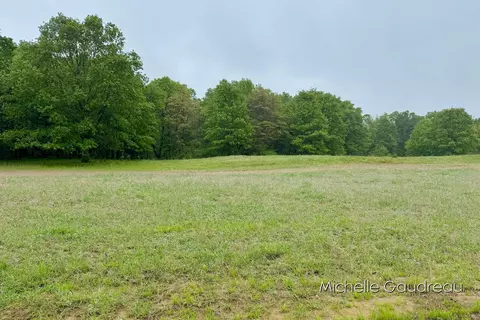 Parcel 8 Leaf Lane, Freeport, MI 49325 photo 3
