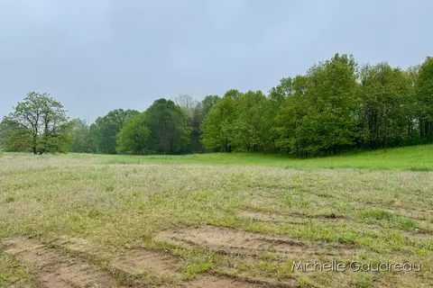 Parcel 2 Leaf Lane, Freeport, MI 49325 photo 5