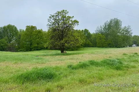 Parcel 2 Leaf Lane, Freeport, MI 49325 photo 4