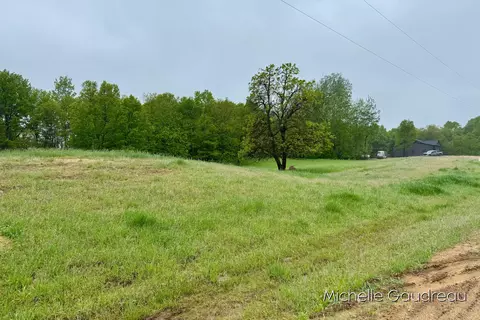 Parcel 2 Leaf Lane, Freeport, MI 49325 photo 3