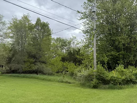 Vl Carlysle Drive, Brooklyn, MI 49230