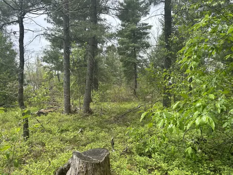 V/l E Cook Street, Idlewild, MI 49642