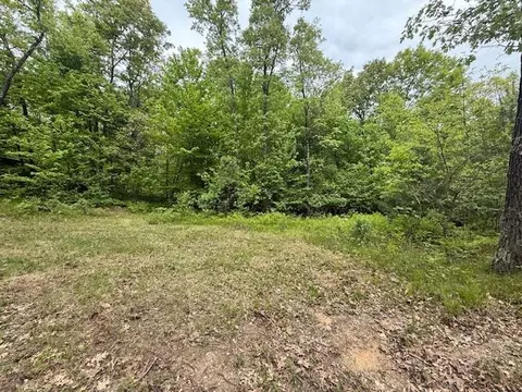 Vl W Timber Trail, Baldwin, MI 49304 photo 15