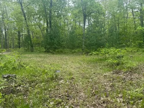 Vl W Timber Trail, Baldwin, MI 49304 photo 14