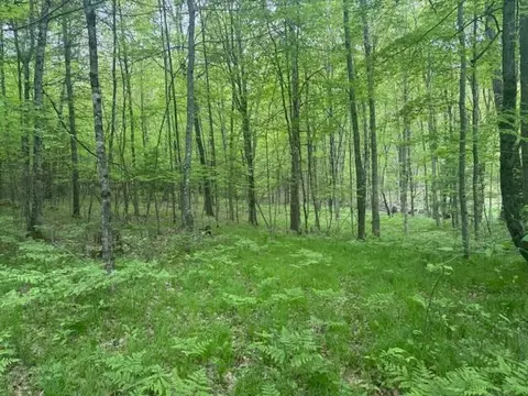 Vl W Timber Trail, Baldwin, MI 49304 photo 5