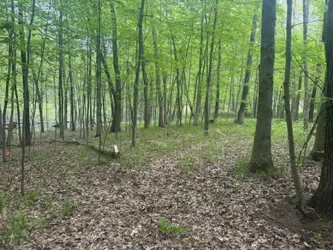Vl W Timber Trail, Baldwin, MI 49304 photo 11