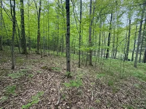 Vl W Timber Trail, Baldwin, MI 49304 photo 9