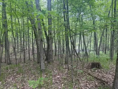 Vl W Timber Trail, Baldwin, MI 49304 photo 10