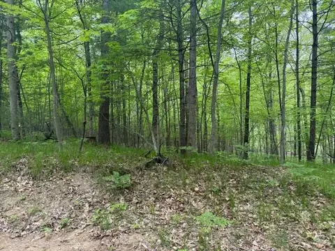Vl W Timber Trail, Baldwin, MI 49304 photo 19
