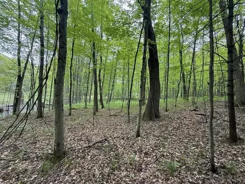 Vl W Timber Trail, Baldwin, MI 49304 photo 4