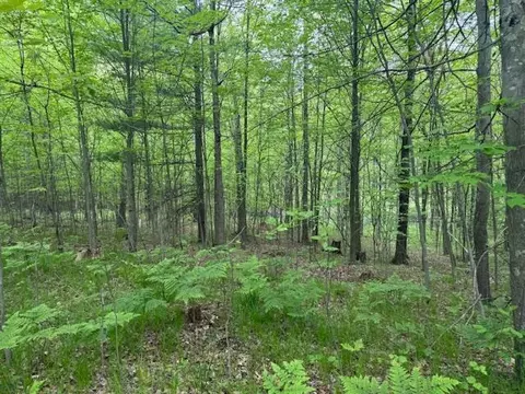 Vl W Timber Trail, Baldwin, MI 49304 photo 21